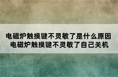 电磁炉触摸键不灵敏了是什么原因 电磁炉触摸键不灵敏了自己关机